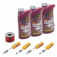 3L Öl Inspektionspaket für