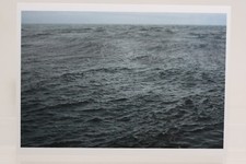 Wolfgang tillmans the - wolfgang, "the