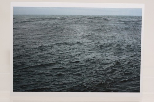 Wolfgang tillmans the - wolfgang,