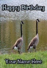 Kanadagänse Vögel Refsa7 A5 personalisierte Karte Geburtstag Jahrestag Ruhestand