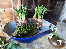 Gußeisen Bräter Pfanne antik Pflanzschale shabby chic Pilsen 1870 Email