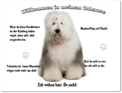 Warnschild 20x30cm - warnschild,
