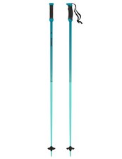 Neue Skistöcke für Herren