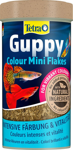 Tetra guppy colour - guppy, flakes