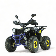 125ccm Quad ATV Kinder Pitbike 4 Takt Motor Quad ATV 8 Zoll KX 007 Commander Pro