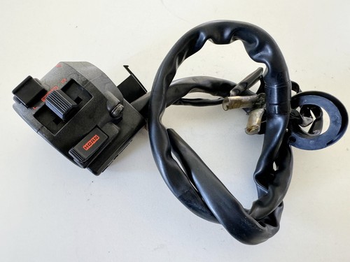Honda cbr 600 pc19 - honda,