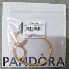 Pandora Armband 563580C01