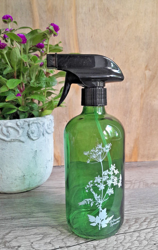 Pflanzen sprühflasche glas - pflanzen,
