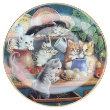 Auf dem Küchenschrank Bradex