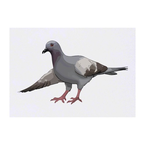 Bowing pigeon temporary - pigeon',