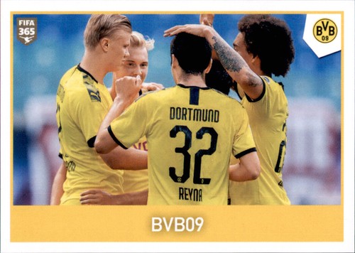 Panini fifa 365 2021 sticker - 2021,
