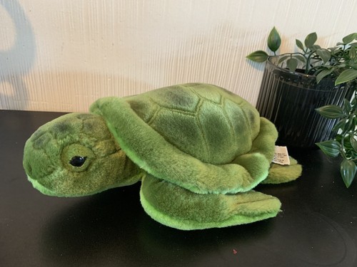Russ grüne schildkröte myrte - russ,