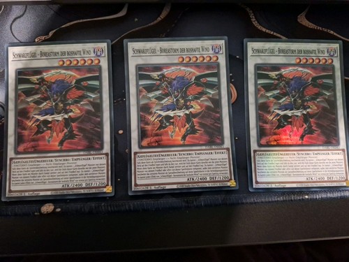 3x schwarzflügel - 3x,