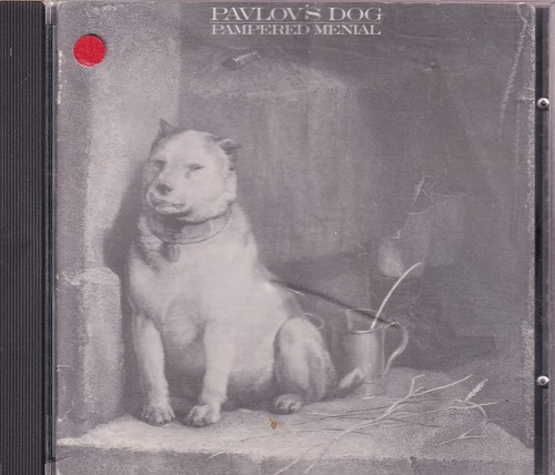 Pavlov dog pampered menial - pavlov's, menial"