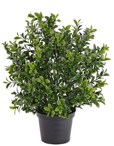 Artplants deko buchs - artplants,