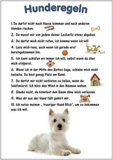 Warnschild - 20x30cm -