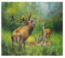 Hirsch Rotwild Kunstdruck 42 x 37 cm Jagdmalerei Jagdbild von Josef Csiszar