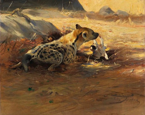 Wilhelm kuhnert hyäne - kuhnert,
