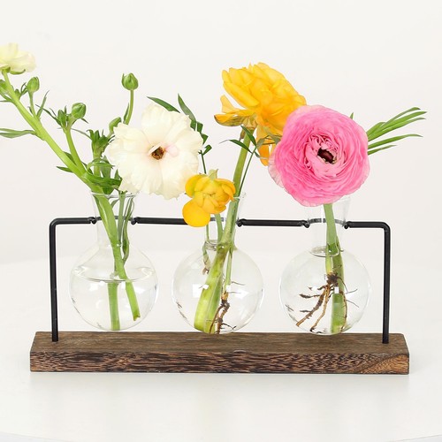 Kreative transparente vase - kreative,
