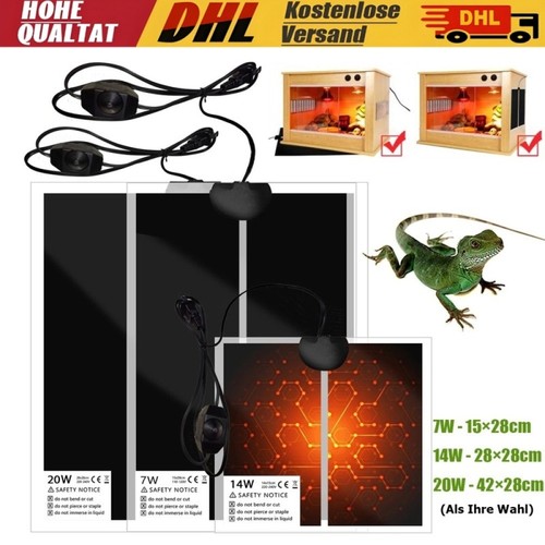 Pet reptile terrarium - reptile,