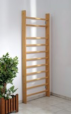 GASPO Sprossenwand, 200 cm