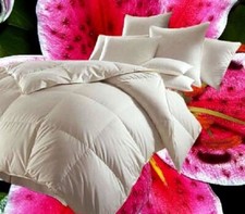 Hofmann Canada Kassetten Daunenbett 4x6 135x200 1000 g Daunendecke 100%  Daunen