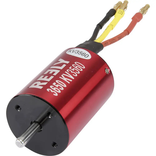 Reely automodell brushless - reely,