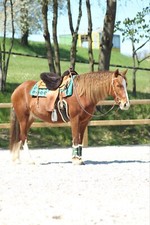 Westernsattel