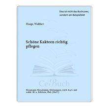Schöne kakteen richtig - schöne,