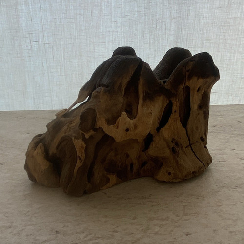 Naturbelassene baumwurzel - naturbelassene,