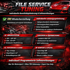 FILESERVICE TUNING / DTC off /