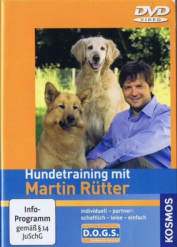 Hundetraining mit martin - hundetraining,