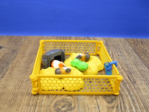 Meerschweinchen