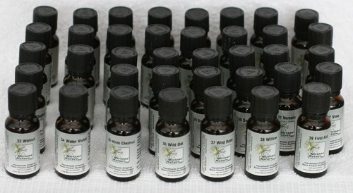 Bachblüten stockbottles und - bachblüten,