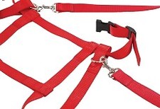 Kinder Laufleine Nylon rot-