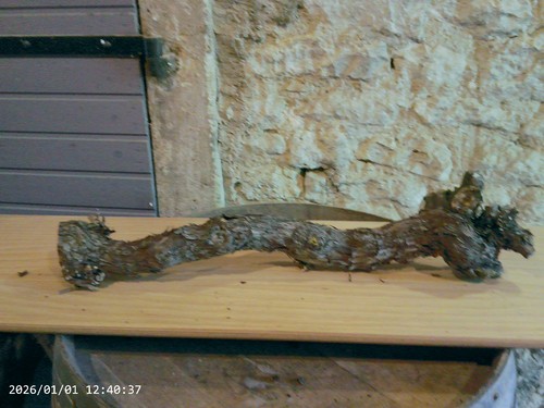Weinstock herbstdeko holz - weinstock,