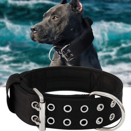 Hundehalsband große hunde - hundehalsband,