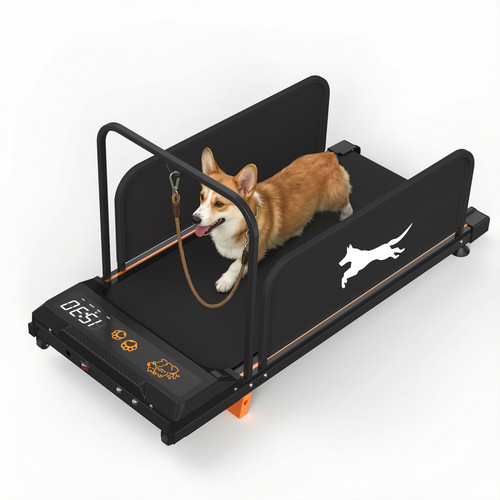 Pet treadmill for - treadmill, &