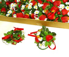 Stück serviettenringe - 12,