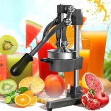 Professionelle Saftpresse