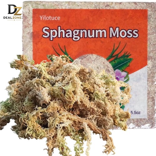 Sphagnum moos 155g - sphagnum,
