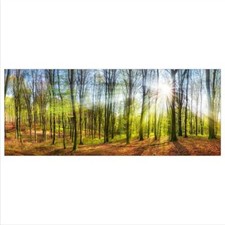 Glasbild 125x50 XL Wald Grün Panorama Wandbild Glasbilder Modern Deko Glas Bild