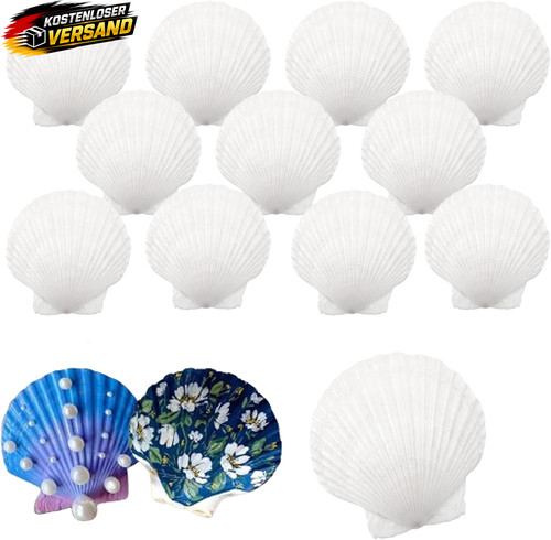 Weiß muscheln set - muscheln,