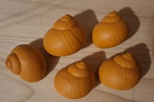 5 größere und Kleinere Weinberg  Schneckenhäuser orange bemalt Deko Floristik 