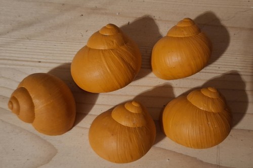 Größere und kleinere - größere,
