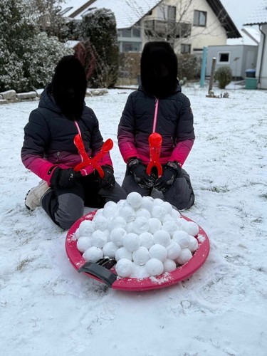 Rot snowball maker - rot,