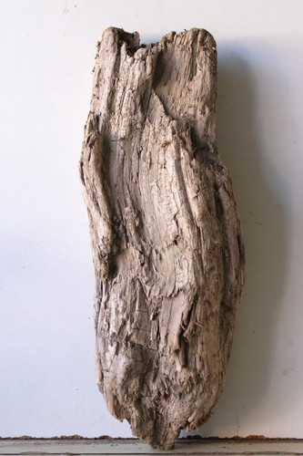 Treibholz schwemmholz - treibholz,
