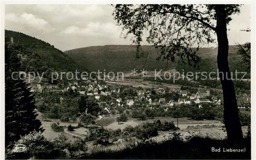 Bad liebenzell panorama das - bad,