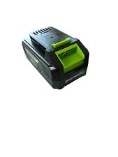 Greenworks Akku 48/24 G4824B2 Battery Lithium 2 AH , 4 AH