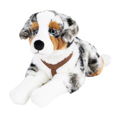Australian shepherd hund - australian,